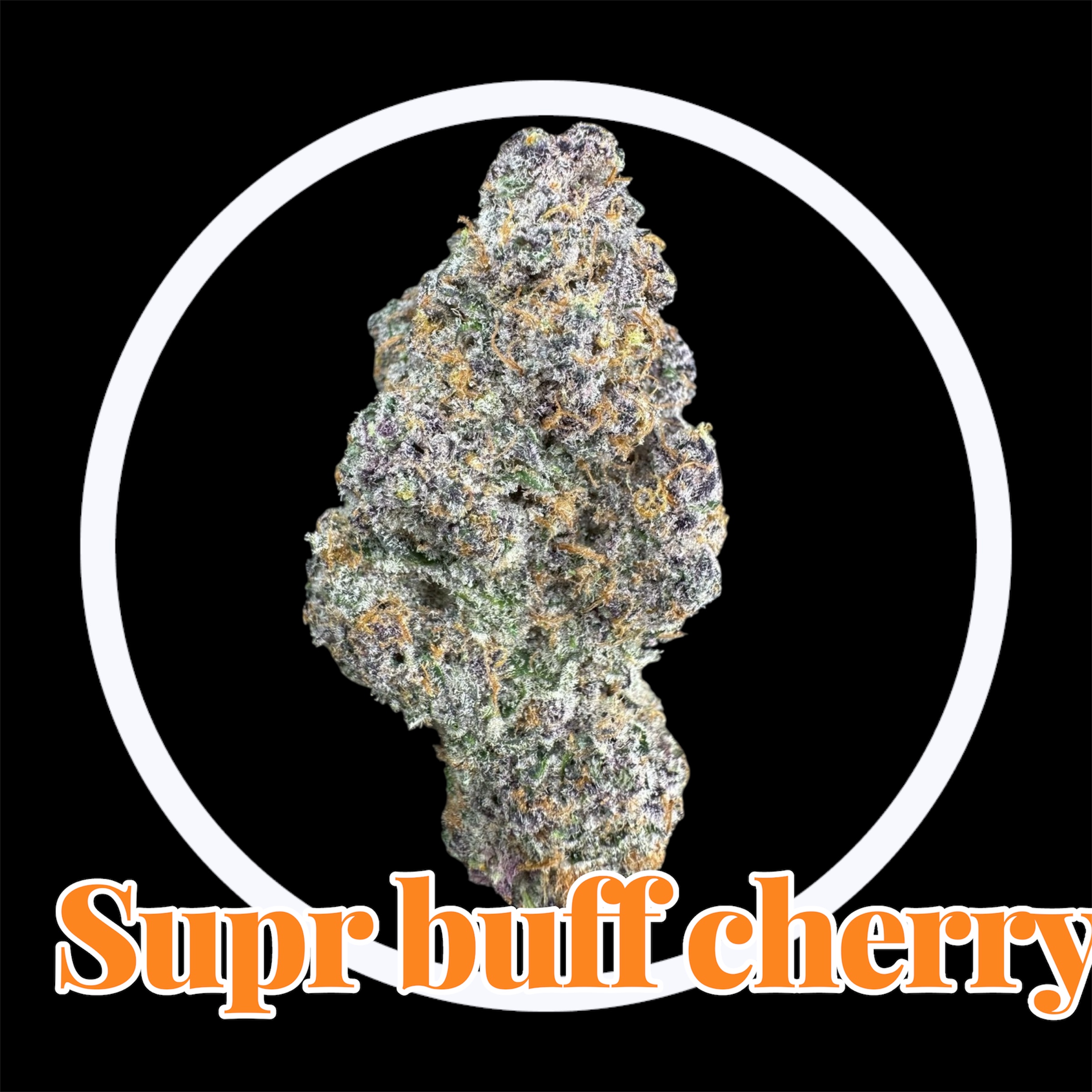 29-11-25 10-57-49pm.jpg